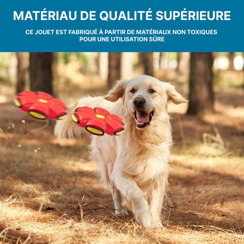 Frisbee pour Chien Soucoupe Volante