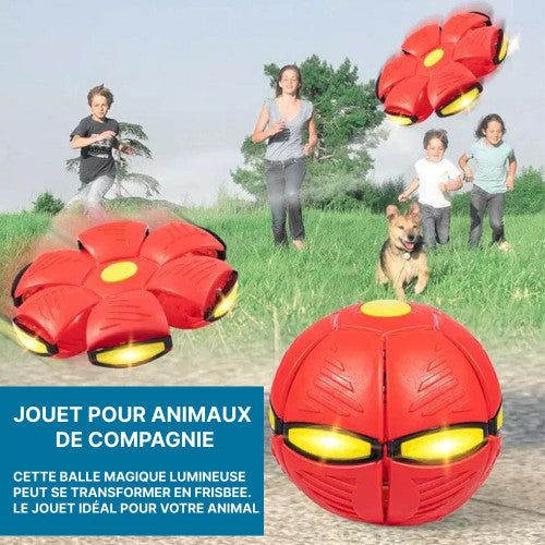 Frisbee pour Chien Soucoupe Volante