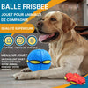 Frisbee pour Chien Soucoupe Volante