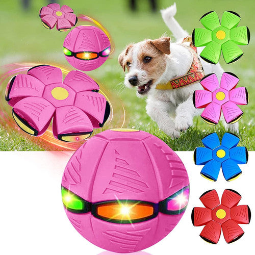 Frisbee pour Chien Soucoupe Volante