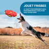 Frisbee pour Chien Soucoupe Volante