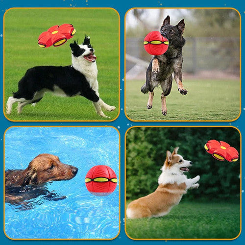 Frisbee pour Chien Soucoupe Volante