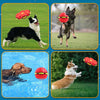 Frisbee pour Chien Soucoupe Volante